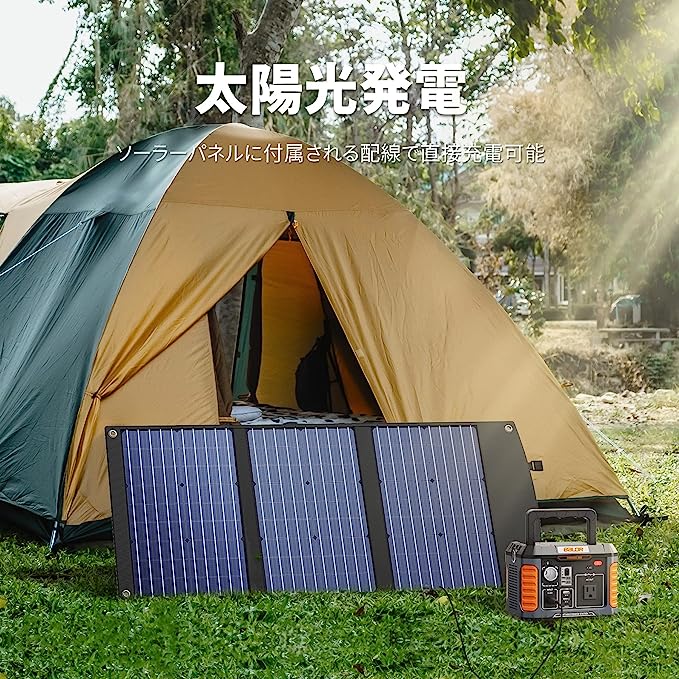 Baldr P300セット (P300リン酸鉄ポータブル電源 + Baldr 60W